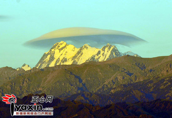 “帽子”變化多端。（圖三）