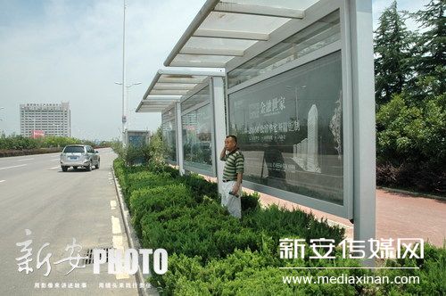 淮南公交站點種滿綠樹 市民樹叢中等車