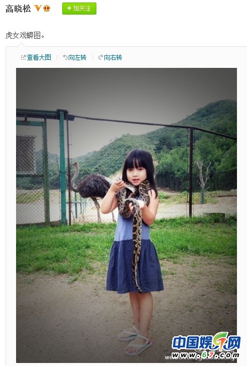 高曉松曬女兒戲蟒圖 網友贊小姑娘膽大長相似爸爸