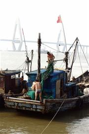 開海前的情景。 