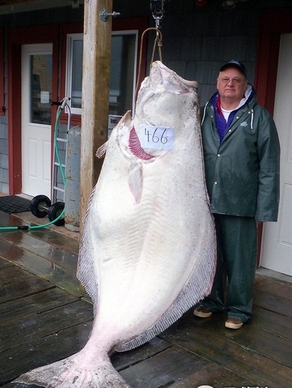 盤(pán)點(diǎn)各地罕見(jiàn)巨型“怪獸”