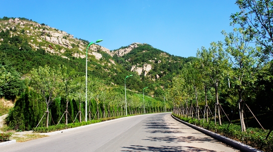 世園會內(nèi)景曝光:繁花似錦 鳥鳴婉轉(zhuǎn)