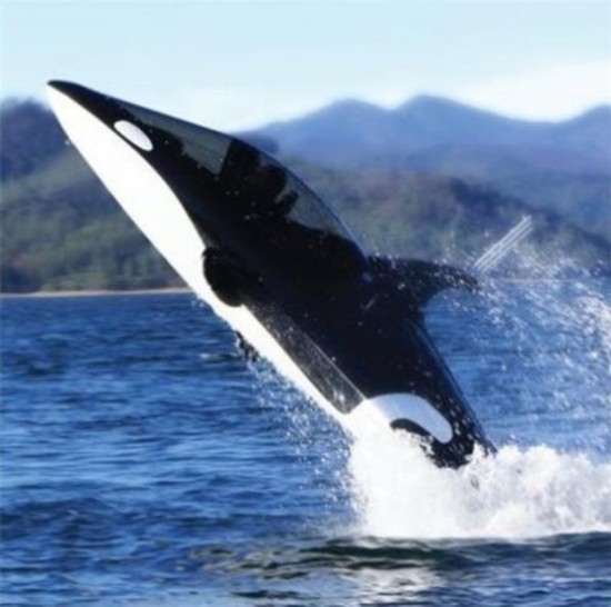 富二代燒錢(qián)玩樂(lè)用具盤(pán)點(diǎn)