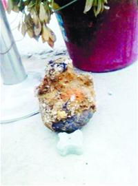 工地一鏟挖出抗日時期地雷 引信完整密封炸藥