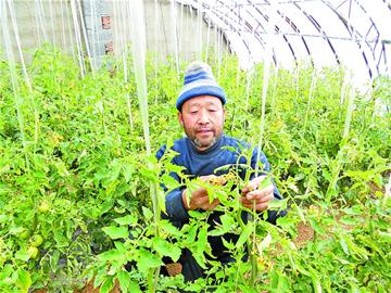 那些年，我們那樣學(xué)雷鋒